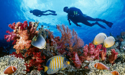 Diving in Cancún